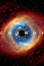 Cosmos Possible (2020)