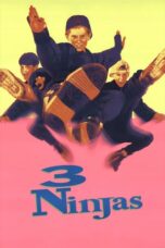 3Ninjas (1992)